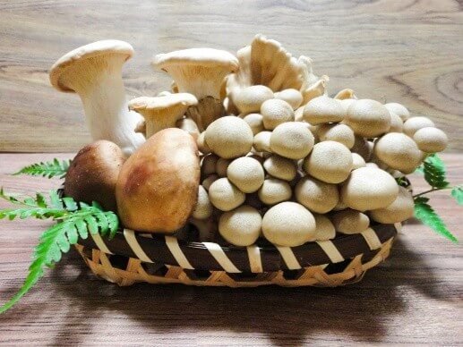 骨粗しょう症予防の鍵 カルシウムの重要性